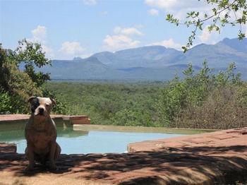 Marula Cottage Guest Lodge Thabazimbi Buitenkant foto
